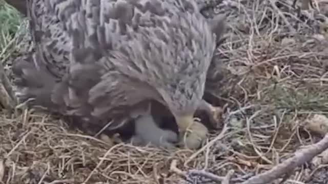 I want to take the baby home