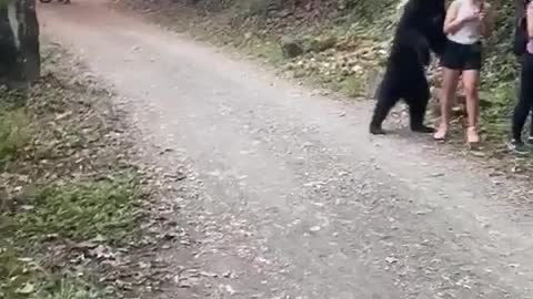 Wild bear want to take a selfi