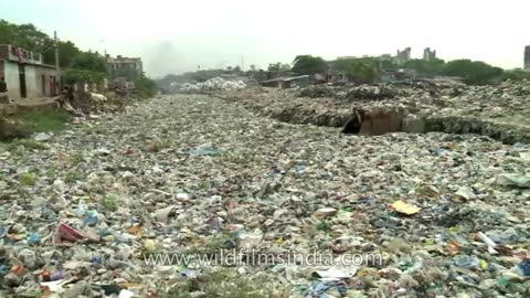 This is India (Part 1: Environment)