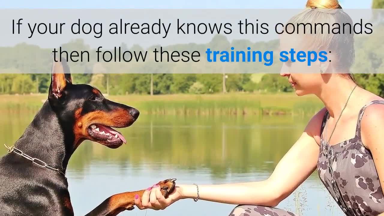 how to train any dog to stop eating grass