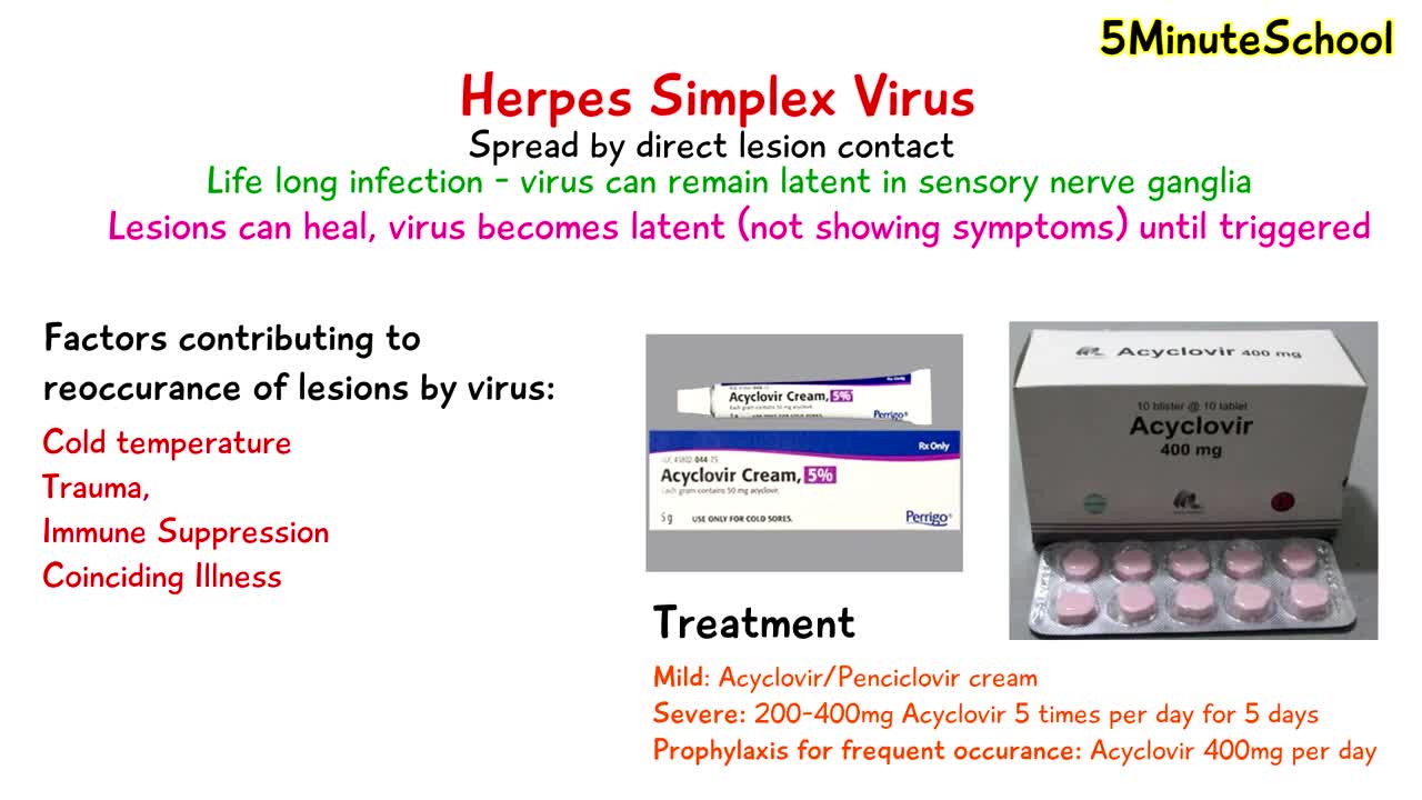 complete cure the Herpes Virus from Your Body