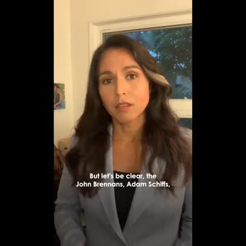 Tulsi Gabbard says