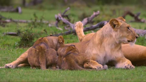 The mother is breastfeeding her baby.