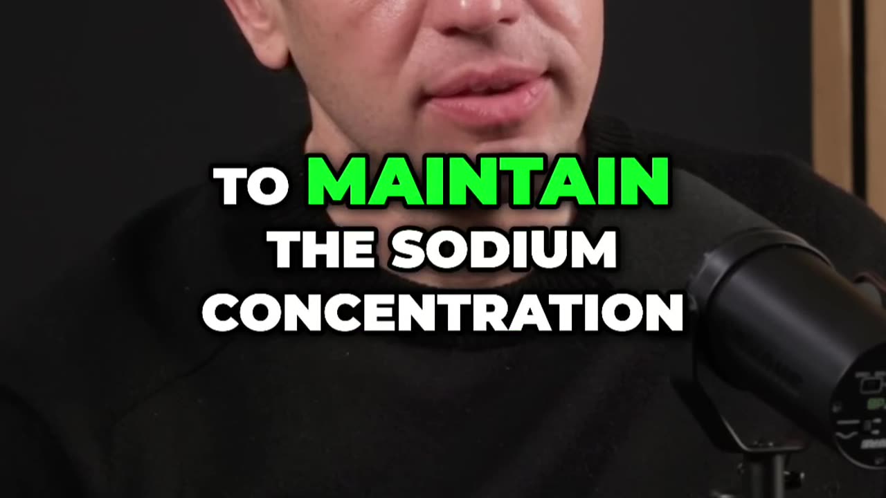 Is Maintaining Salt Balance Essential for Blood Composition_ 🧂