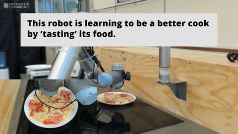 Taste of the future_ robot chef learns to ‘taste as you go’