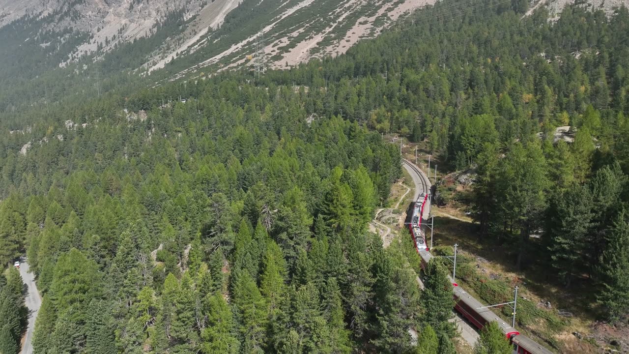 Train in deep forest