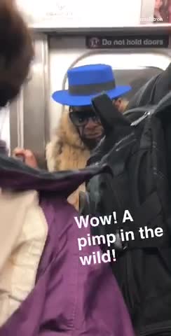 Wow! a pimp in the wild! subway