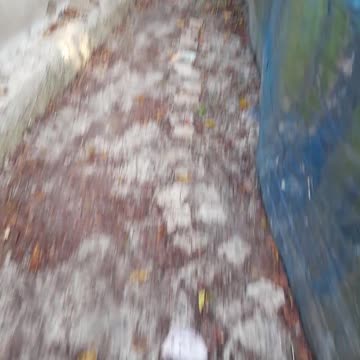 গুপ্তধনের খোঁজে আমরা