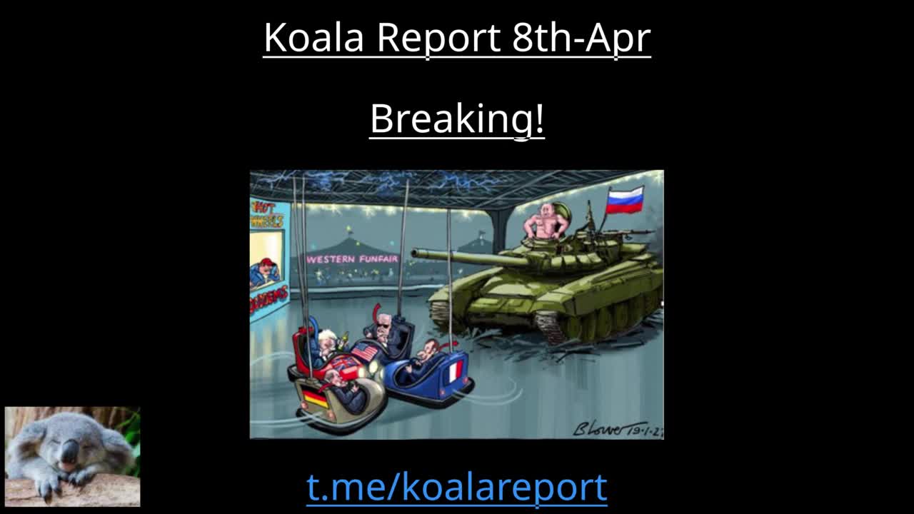 The Koala Report April 8th 2022