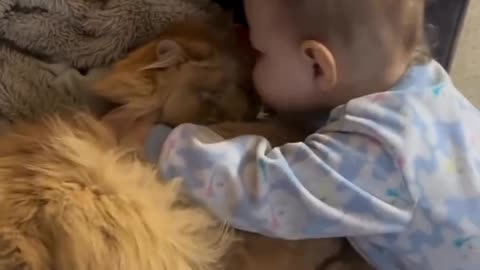 Cat loves babies 🐈👼