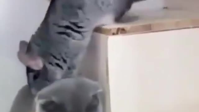 🤣🤣🤣