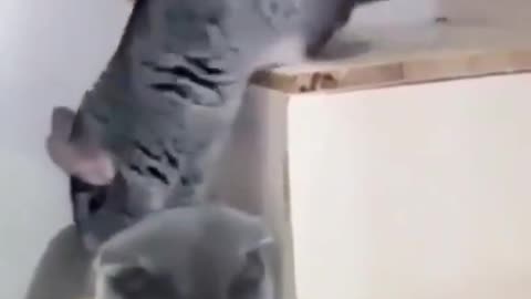 🤣🤣🤣
