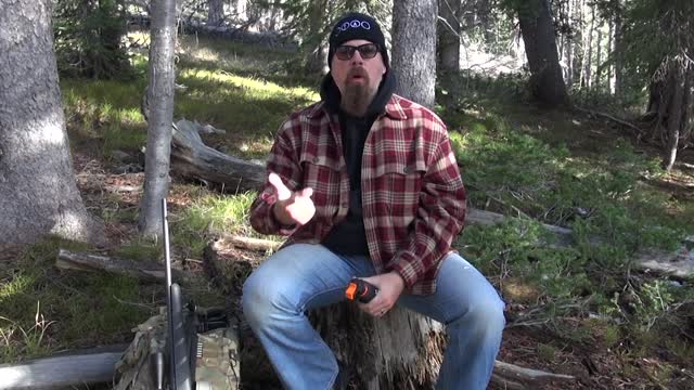 The Truth about Bear Spray Vs Guns