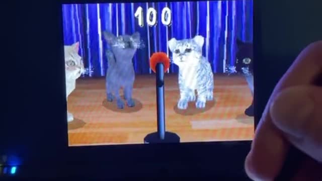 Cats sings like an opera | TikTok video by @RabekkiJeanate