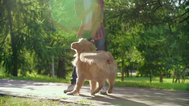 Handsome guy playing with the dog with a ball