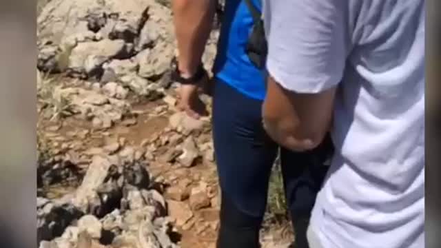 Jokes with a fake snake
