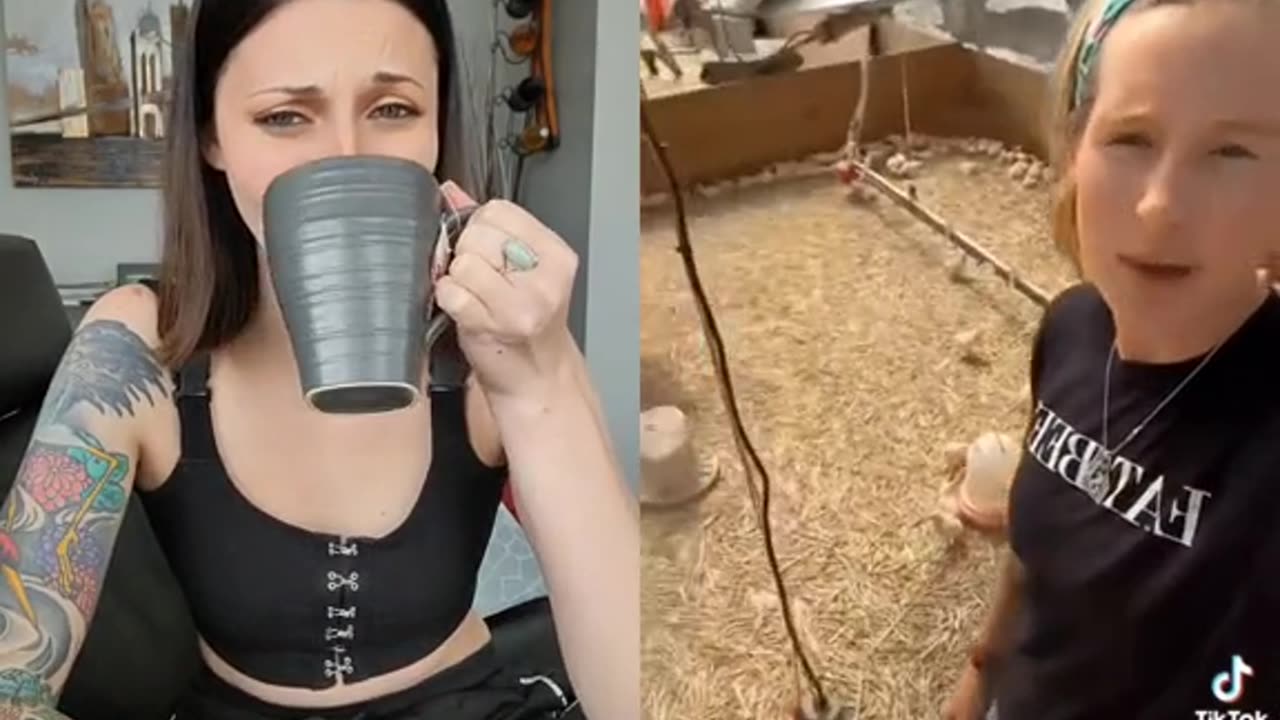 The Great Chicken War