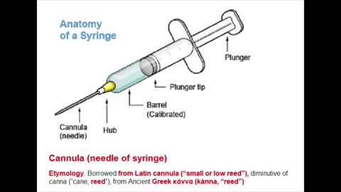 The Covid 19 Vaccine in Revelation 9