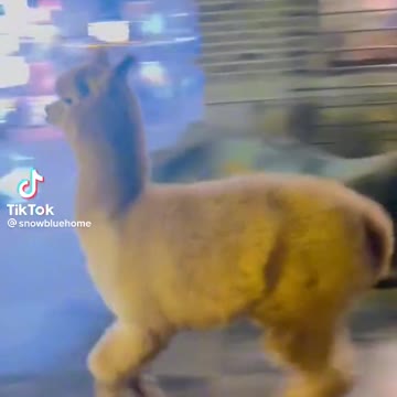 So happy today tiktok video