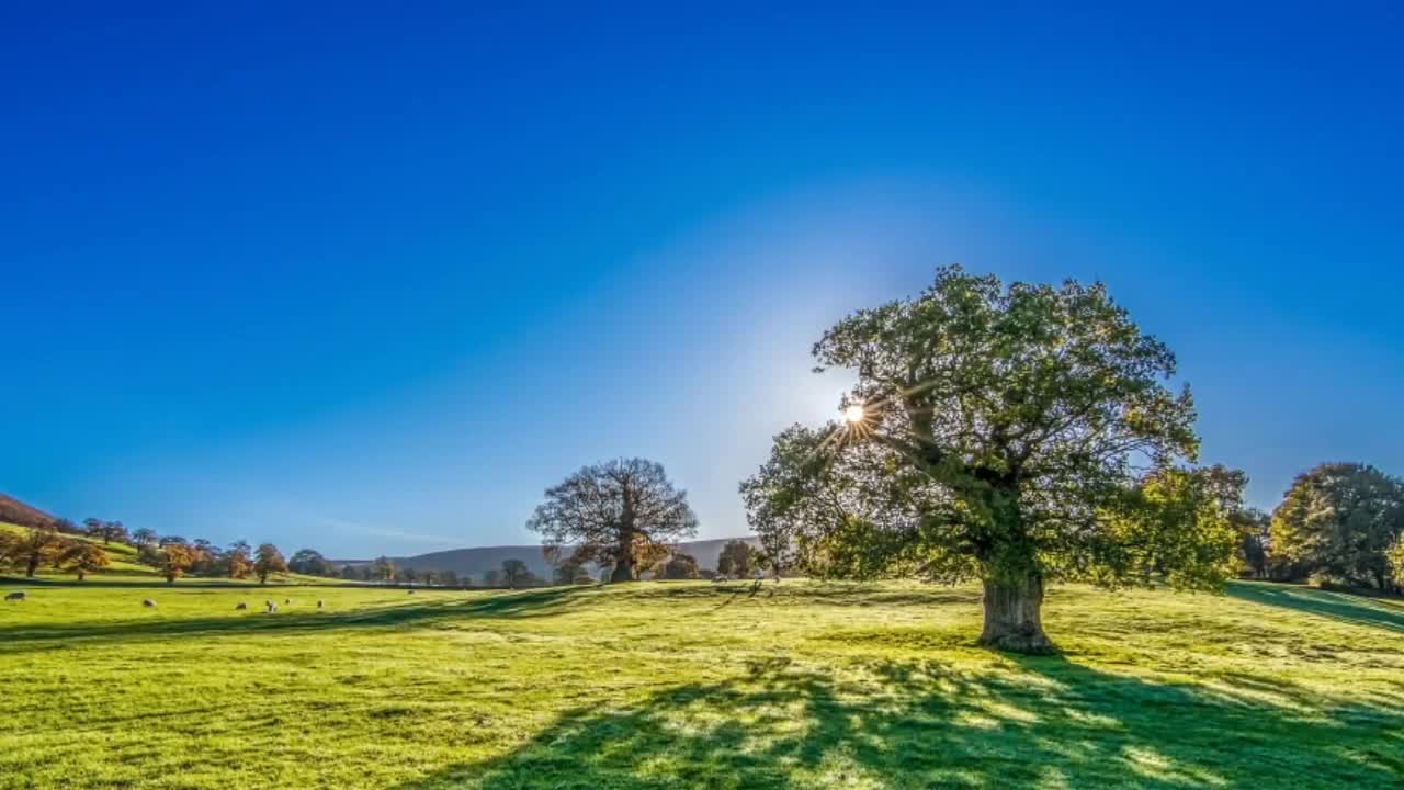 Relaxing music with nature