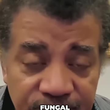 Unlocking the Mysteries of Fungal Kingdom: Exploring the Fascinating World of Mushrooms