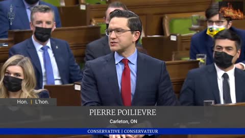 Pierre Poilievre says Trudeaus Childish Actions at fault