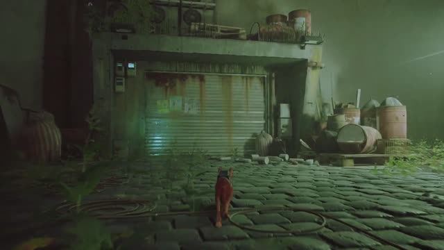 Stray (Gameplay PS5)