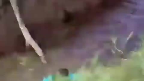 Best funny video in this month