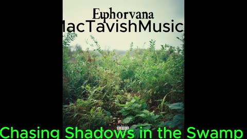 Chasing Shadows in the Swamp Euphorvna