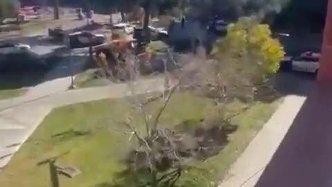 Las Vegas police were seen on the roof of UNLV responding to active shooter situation