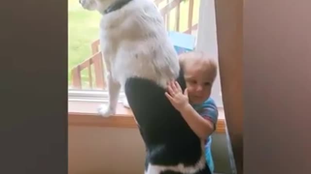 Toddler meets a puppy for first time due to pandemic