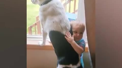 Toddler meets a puppy for first time due to pandemic