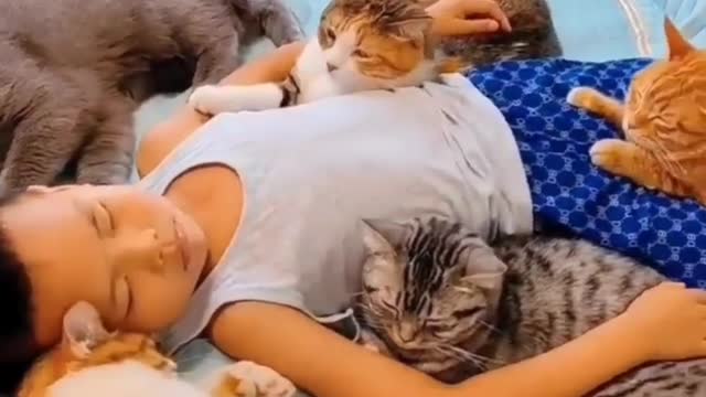 Try Not To Laugh Animals | Funniest Cat Videos In The World | Funny Animal Videos