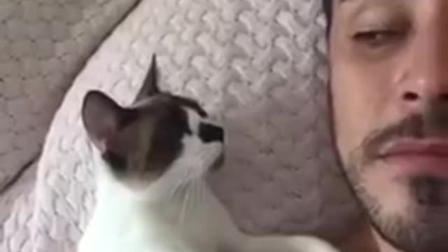 Little cat wants kisses