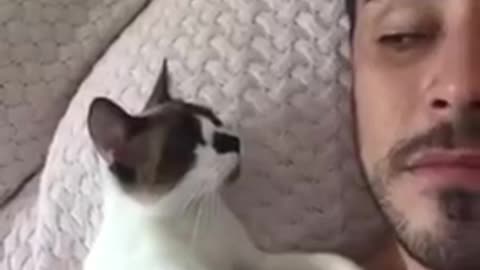 Little cat wants kisses