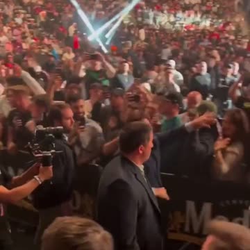 Epic night for Gov. DeSantis at UFC273