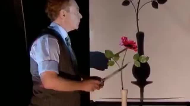 Teller's awesome shadow magic