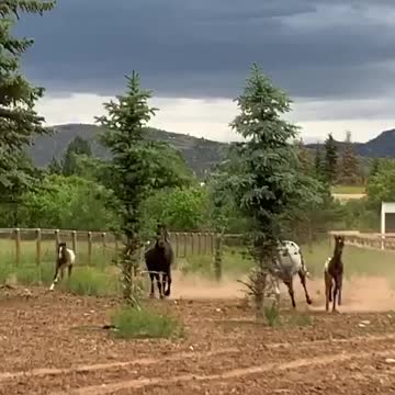 Running from the lightning