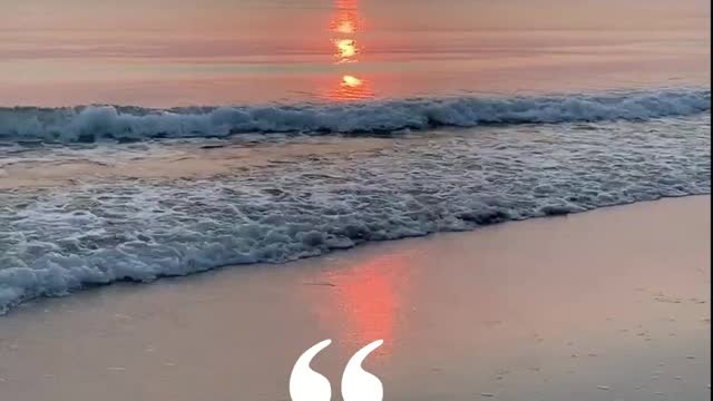 Gain self improvement by listening to these stoic quotes that are best for personal development