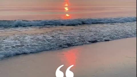 Gain self improvement by listening to these stoic quotes that are best for personal development
