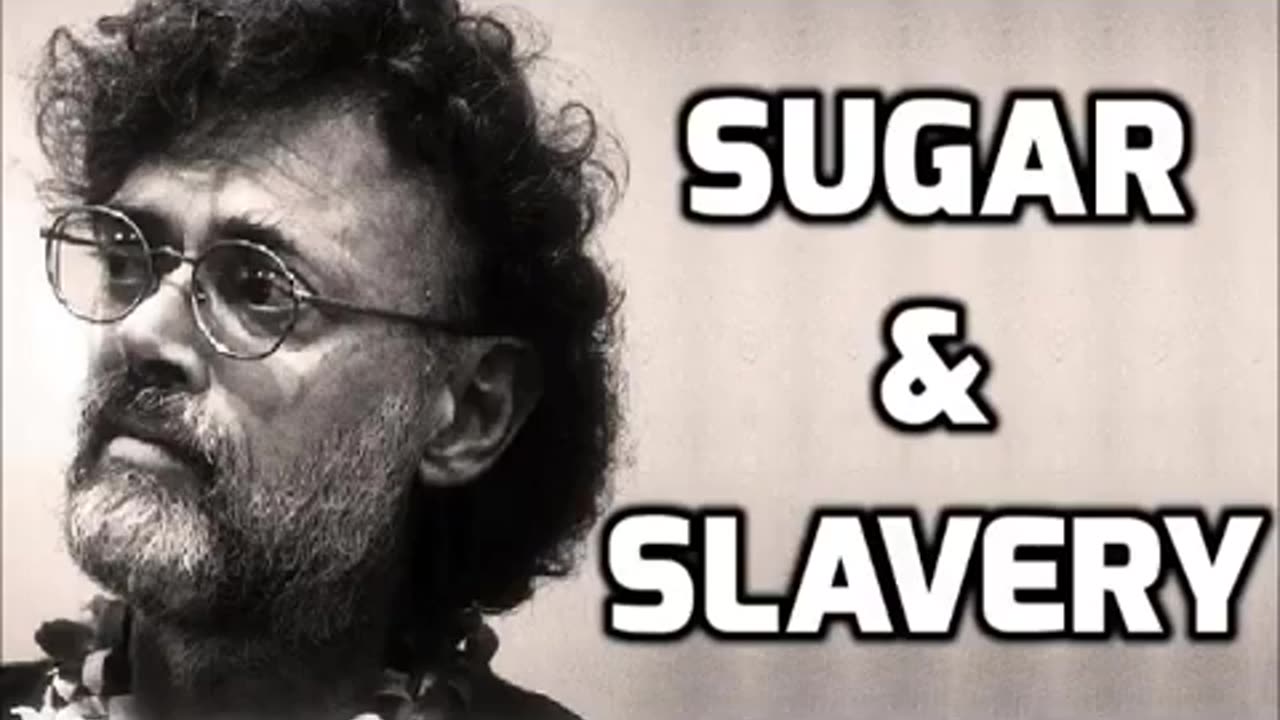 Terence McKenna - Sugar & Slavery