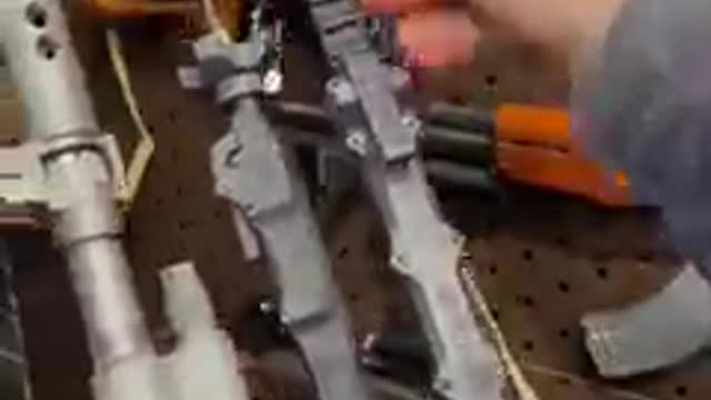 Looks like these unladylike hamsisters