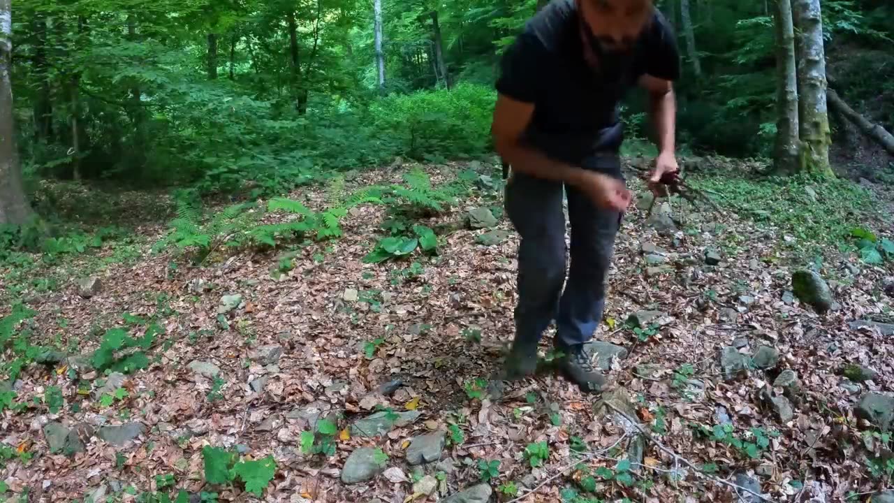 Survival with a dog in the forest