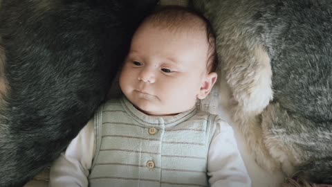 Beautiful baby 🤤🤤and animal veryy beautiful wow.the most beautiful baby and dog in world 🤤❤️💣👶🐶🐕