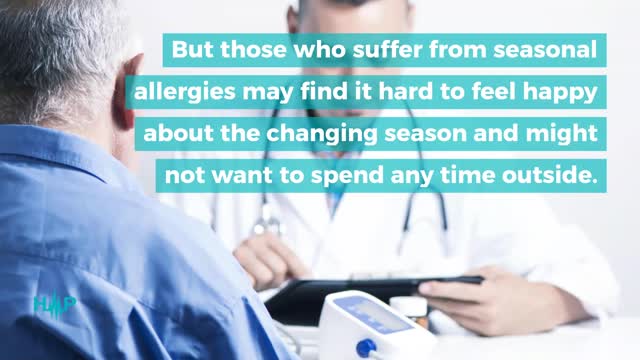 10 Natural Treatments For Seasonal Allergy Sufferers