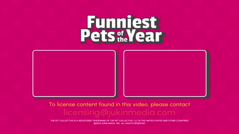 The FUNNIEST Pet Videos of 2023! 🤣 | BEST Compilation