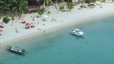 Beautiful beach surrounded by nature seen from above