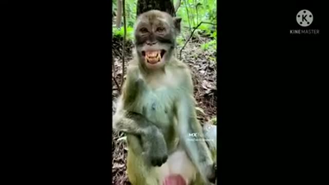 Most funny videos in just 30 seconds! 😂😂😂