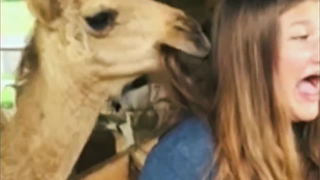Monkey Girl Prank 😶😍