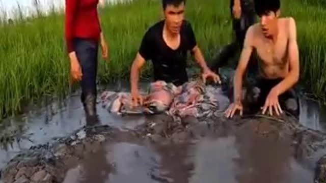 😱Wow_Under_the_back_hole_are_carnivorousfish😱